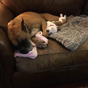 Meet your Posher, Julie